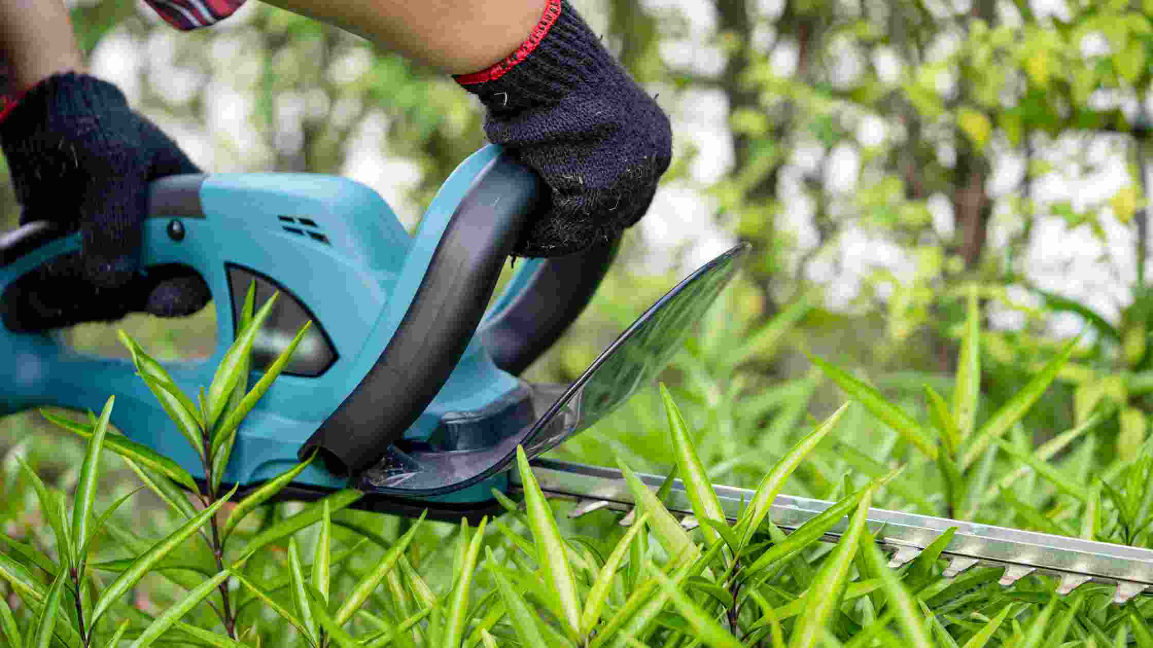 Edger vs Trimmer Which One to Use for Your Lawn? SkilledHub
