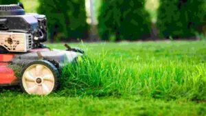 Ego vs Worx Lawnmower: Which One Is Better?