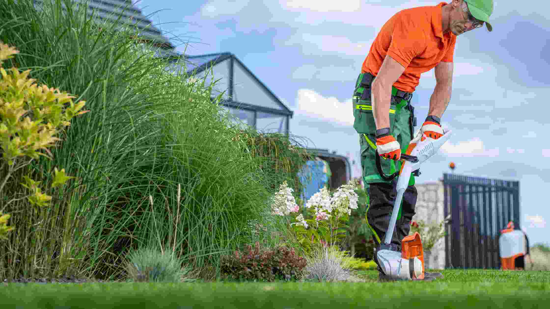 String Trimmer vs Edger Which is Better for Lawn Maintenance? SkilledHub