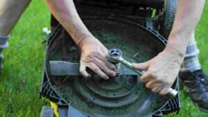 The 5 Best Lawn Mower Blades For A Perfect Cut In 2026