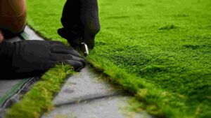The Best Artificial Grass for Your Lawn