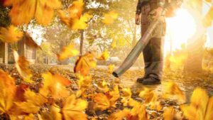 Toro vs Black and Decker Blower: Which is the Best for Your Yard?