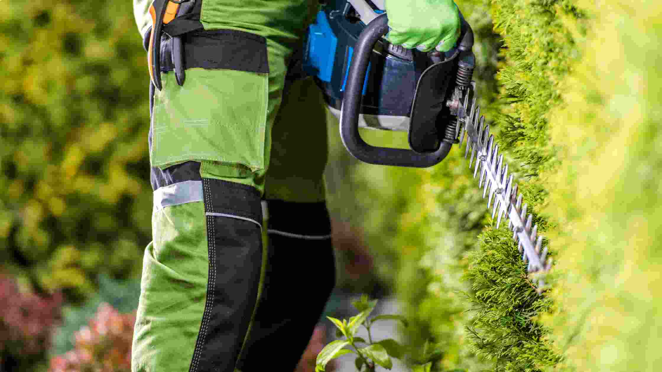 Hedge Trimmer With Battery vs Gas Which One to Choose? SkilledHub