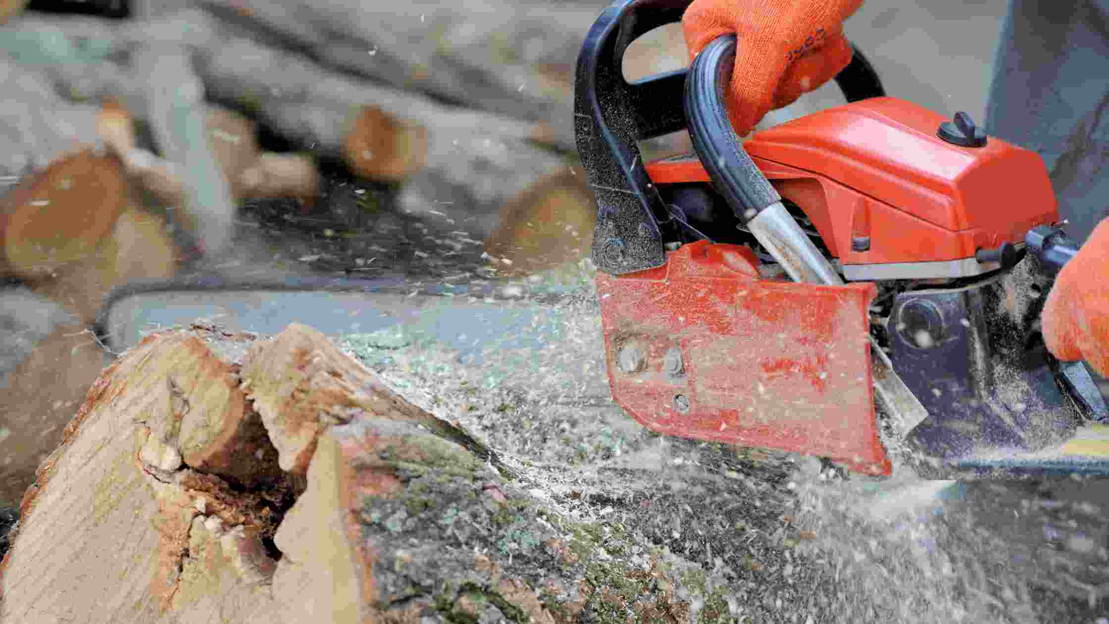 Best Amazon Chainsaw: Top 5 Picks for 2024 - SkilledHub