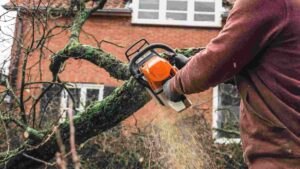 Best Battery Operated Saw for Cutting Tree Branches: Top 5 Picks