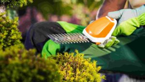 Best Battery Powered Hedge Trimmers: Top 5 Picks