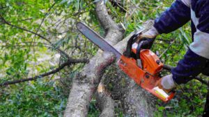 Best Chainsaw Under $200 for Budget-Conscious Buyers