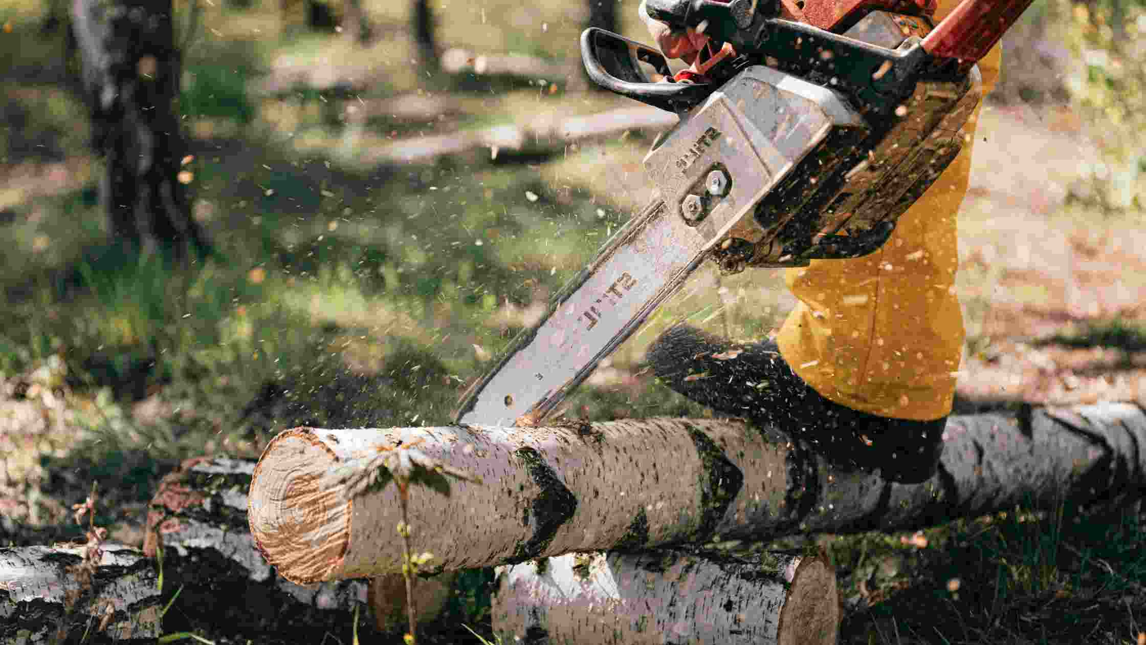 Best Chainsaw Under 300 Top 5 Picks for Woodcutting in 2024 SkilledHub