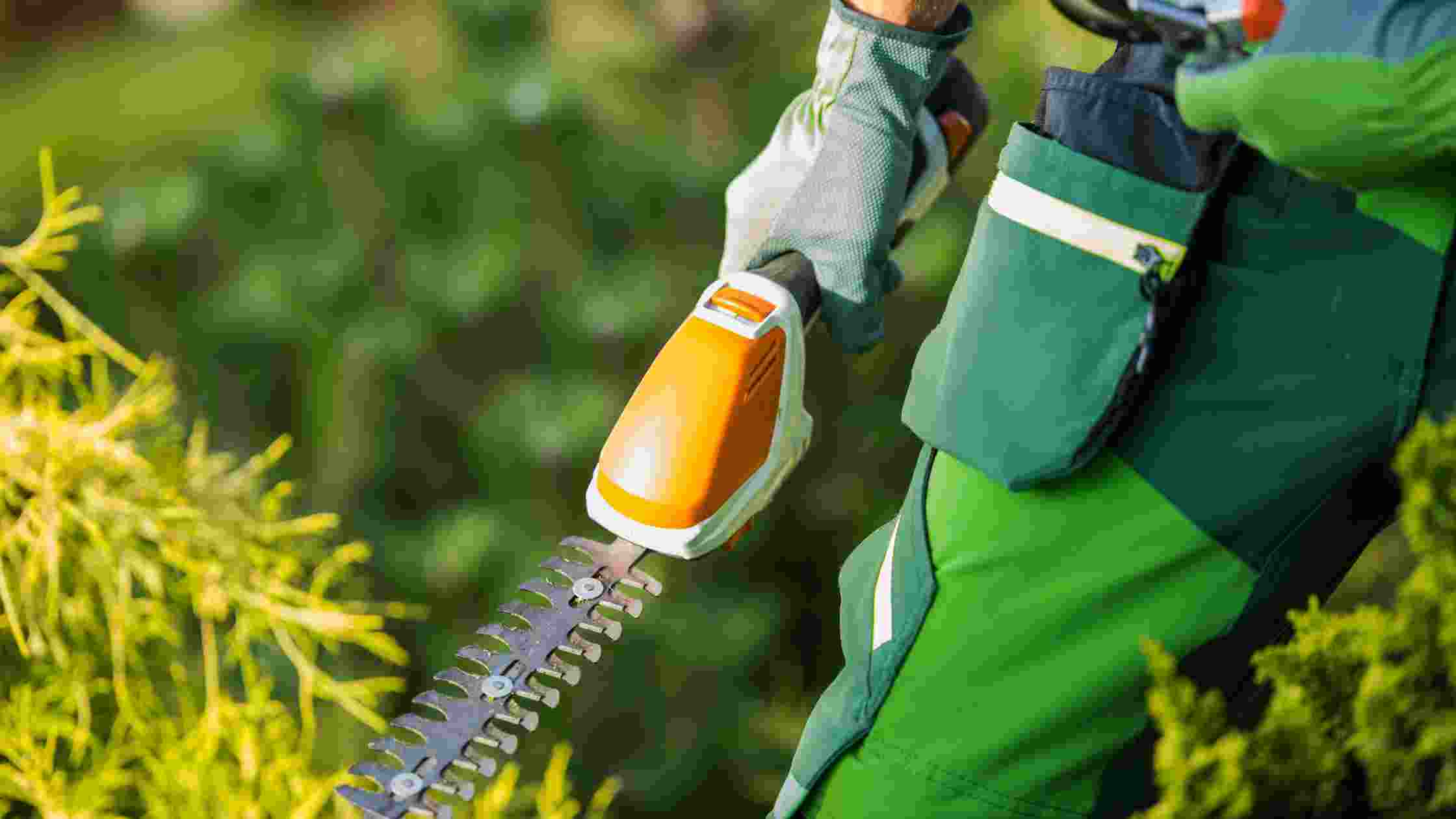 Best Commercial Battery Hedge Trimmer: Top 5 Picks for 2026 - SkilledHub