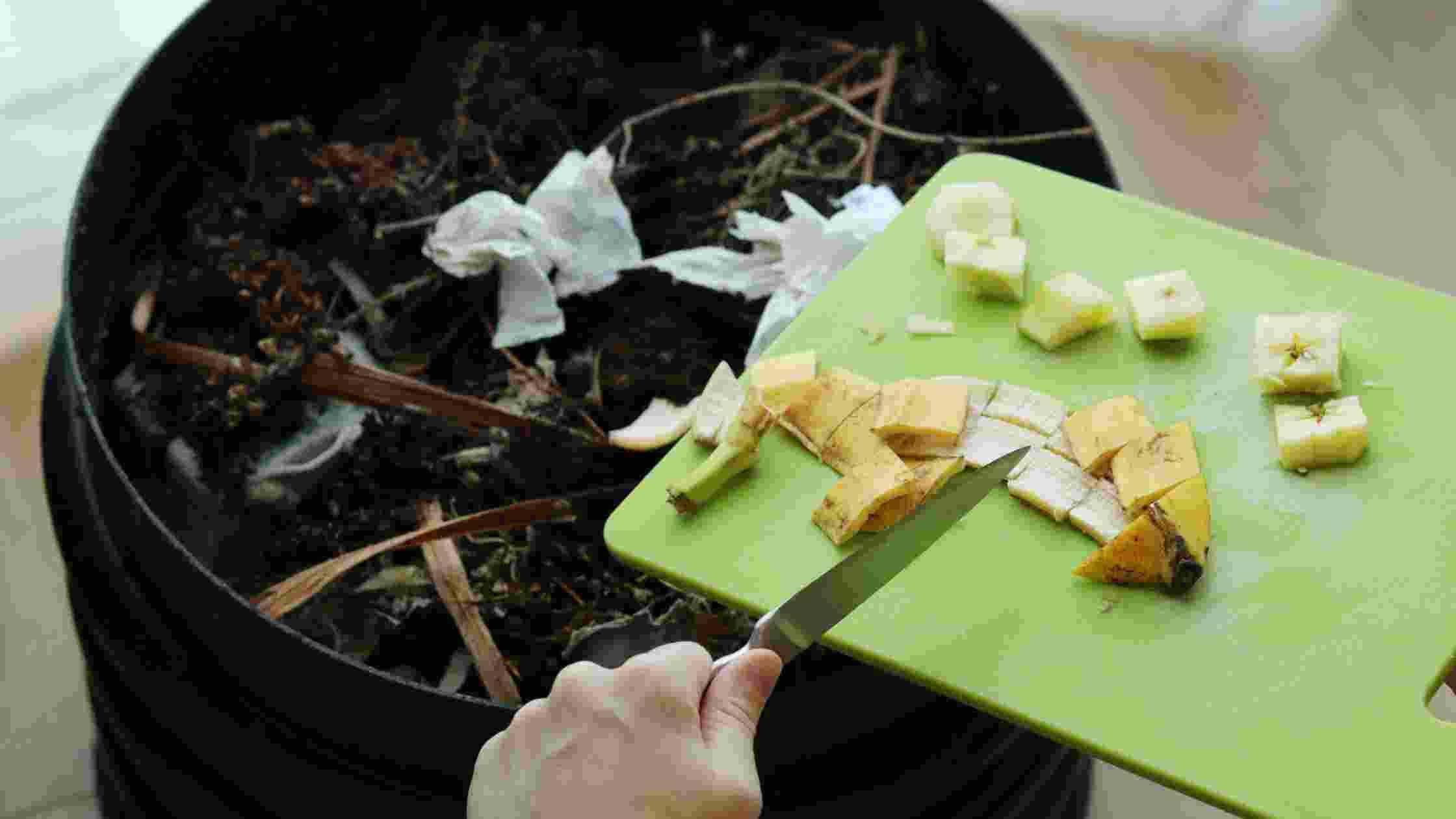 Best Compost Grinder Top 5 Picks for Easier Composting in 2024