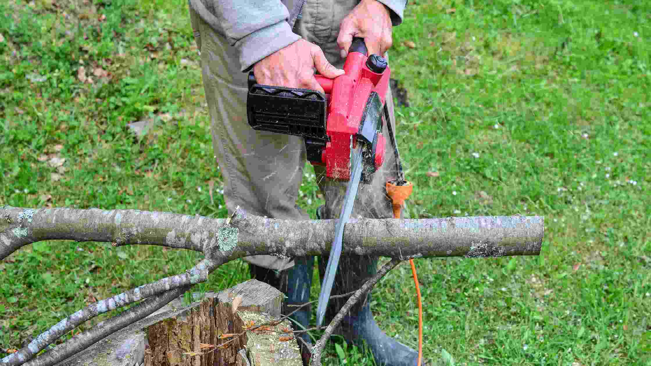 Best Electric Chainsaws For Efficient Cutting: Top 5 Picks In 2024 