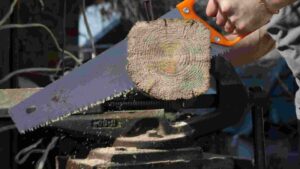 Best Electric Hand Saw for Cutting Trees: Top Pick for 2026