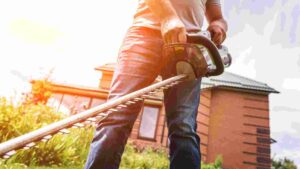Best Extendable Hedge Trimmer for Efficient Gardening