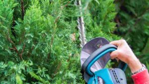 Best Hedge Trimmer for Thick Branches: Top 5 Picks