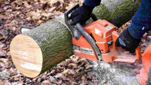 Best Husqvarna Chainsaw for Home Use: Top 5 Picks