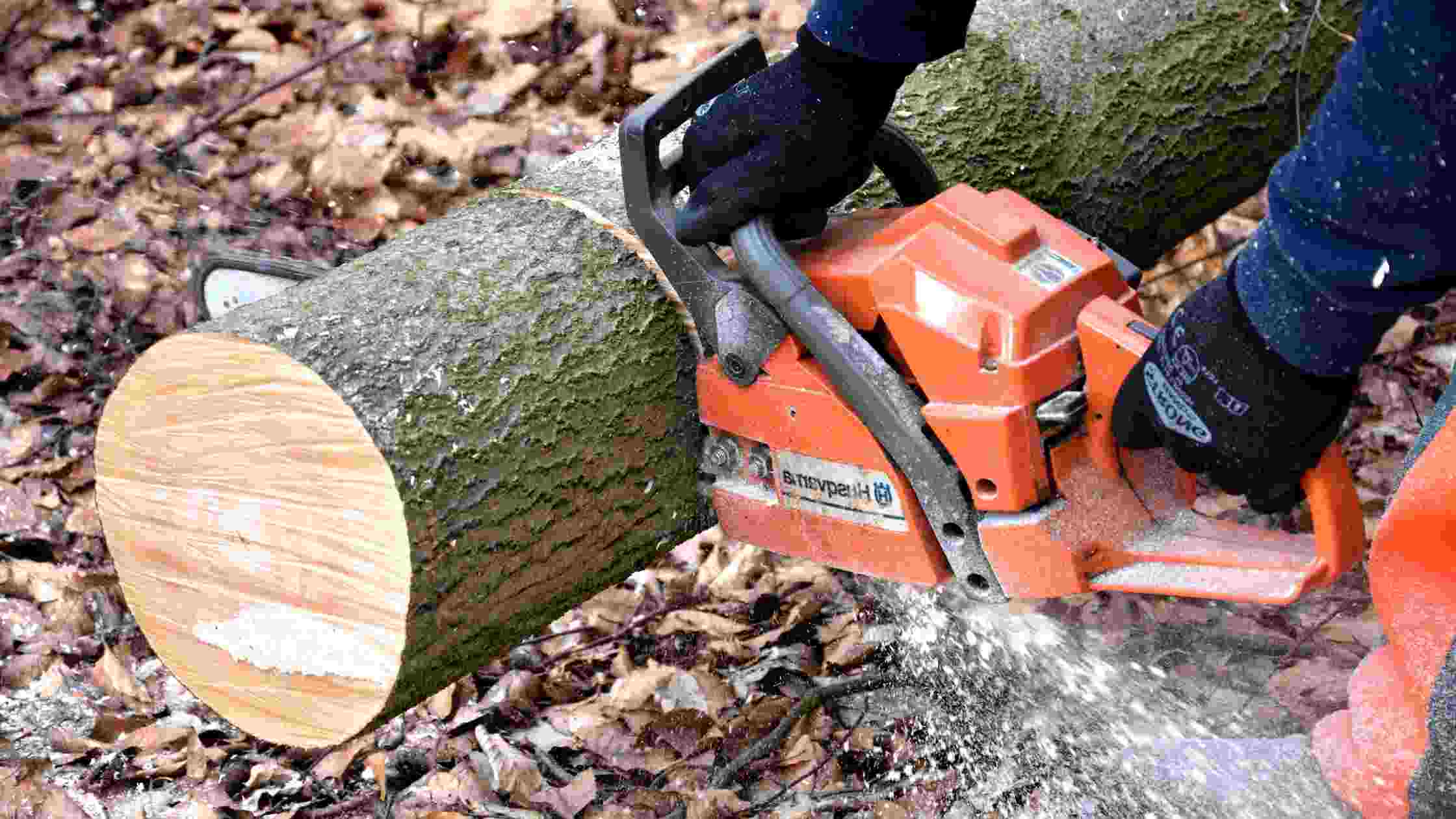 Best Husqvarna Chainsaw for Home Use: Top 5 Picks for 2026 - SkilledHub