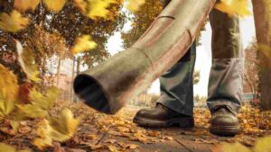 Best Leaf Blower to Dry Your Car: Top 5 Picks
