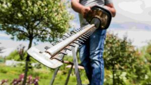 Best Long Reach Hedge Trimmer for Garden Maintenance