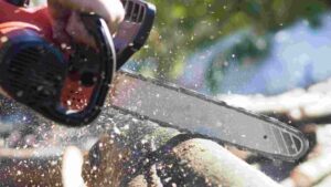 Best Makita Chainsaw: Top 3 Picks