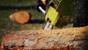 Best Ryobi Chainsaw: Top 5 Picks for Power and Durability