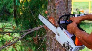 Best Small Chainsaw for Limbing: Top 5 Picks