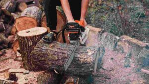 Stihl vs Husqvarna Chainsaws: Which One is Better?