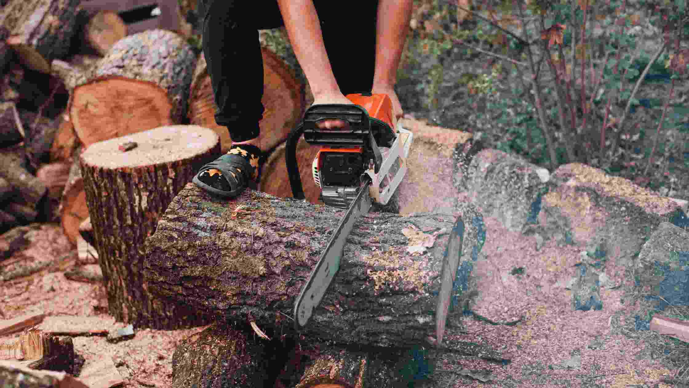 Stihl vs Husqvarna Chainsaws Which One is Better? SkilledHub