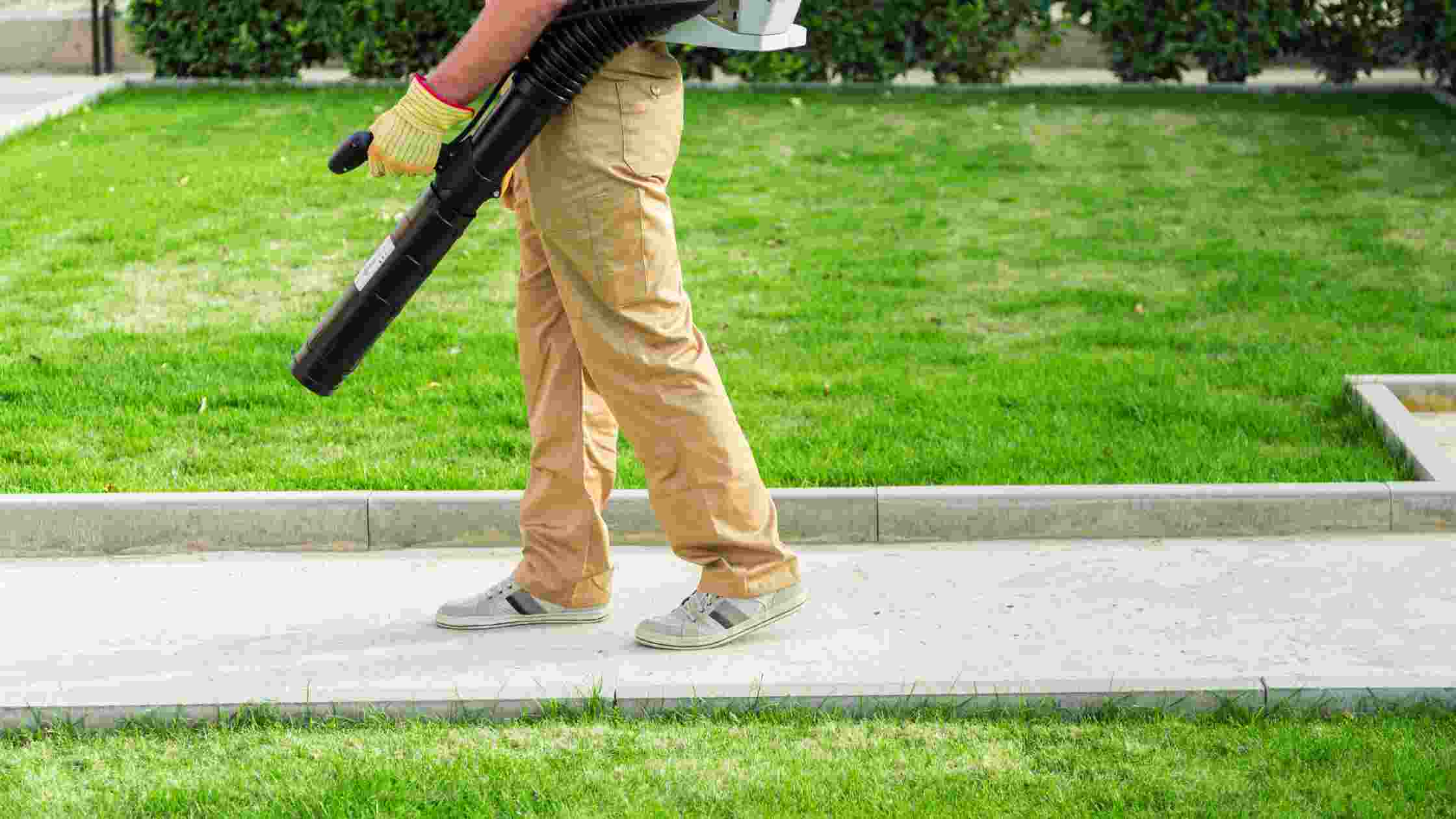 Toro 51619 vs Black and Decker Which is the Better Leaf Blower