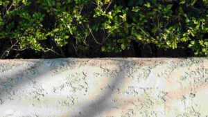 Best Sealer for Concrete Planters: Top 5 Picks