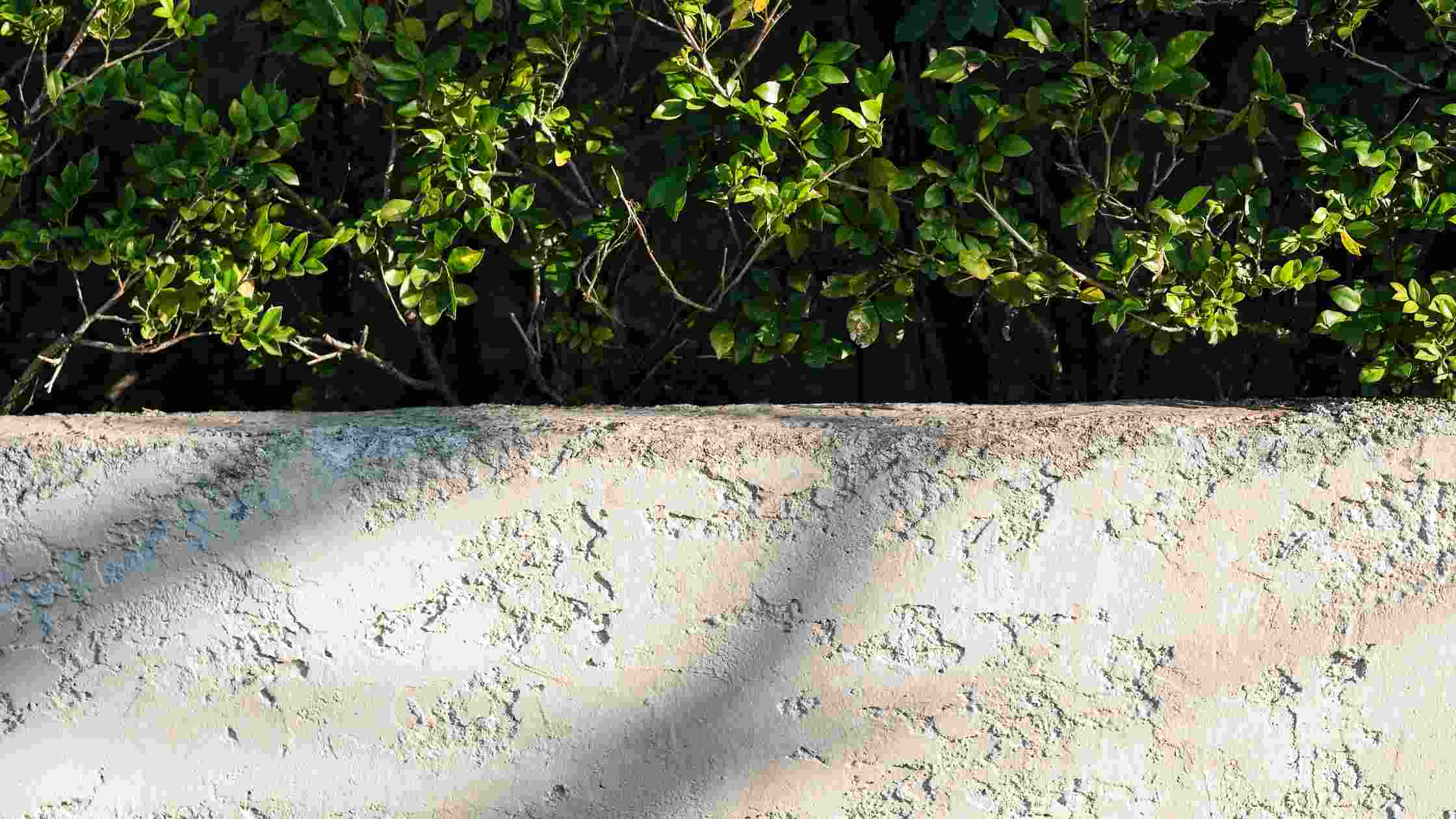 Best Sealer for Concrete Planters Top 5 Picks for 2024 SkilledHub