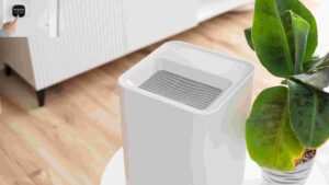 Best Medify Air Purifier: Top Picks for Clean Air in 2026